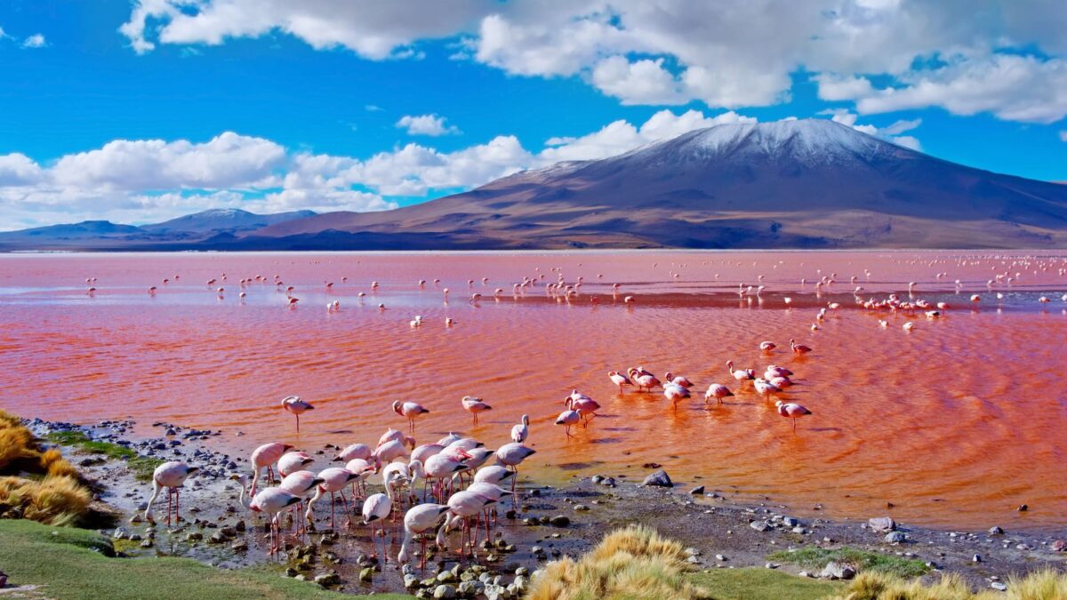 reizen naar Bolivia en Argentinië met Explore