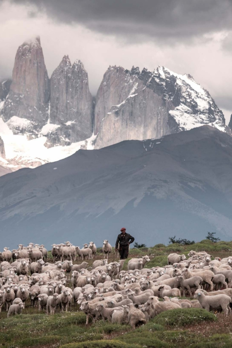 Schapenhoeder bij Cerro Guido in Chili - reizen met Explore