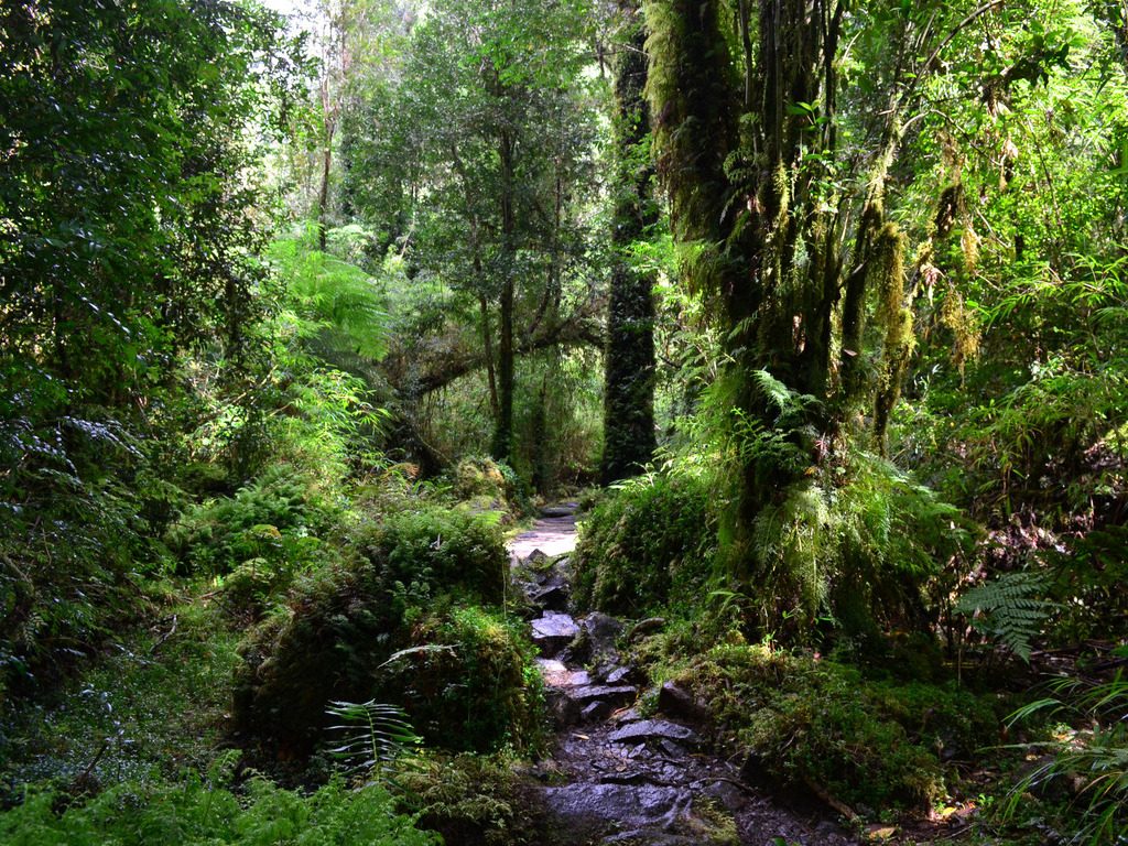 Pumalín Nationaal Park, Chili - reizen met Explore