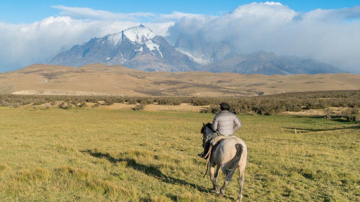 Paard en ruiter in Torres del Paine, Chili - reizen met Explore