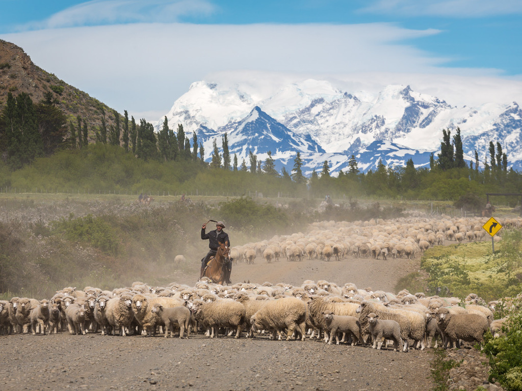 Torres Del Paine in Chili - Explore