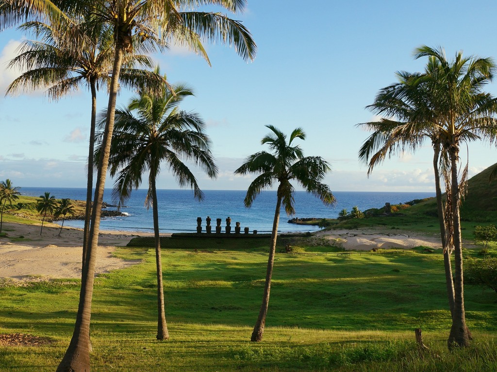 Palmbomen op Paaseiland in Chili - reizen met Explore