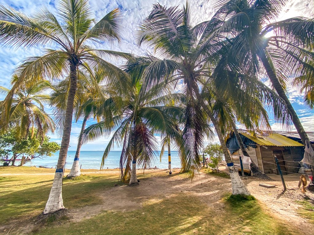 Palmbomen en strandhuisje op Isla Múcura, Colombia – reizen met Explore.