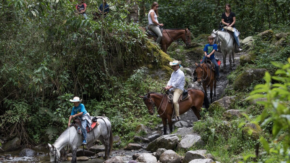 Groep toeristen te paard in het groene Cocora-vallei in Salento, Colombia – reizen met Explore.