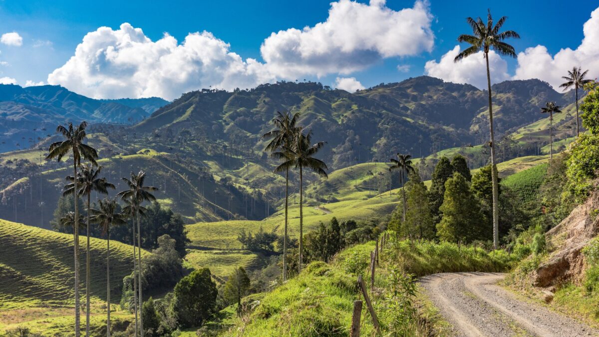 Uitzicht op groene heuvels en palmbomen in Valle de Cocora nabij Salento, Colombia – reizen met Explore.