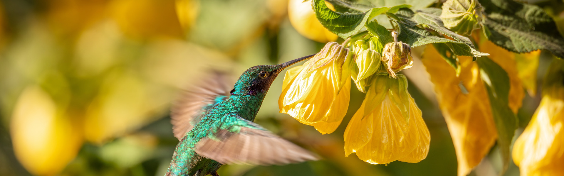 reizen naar Colombia met Explore