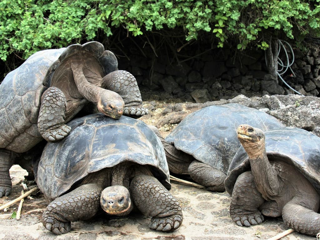 reizen naar Ecuador met Explore