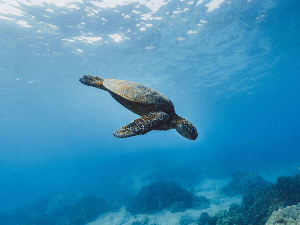 reizen naar Ecuador met Explore