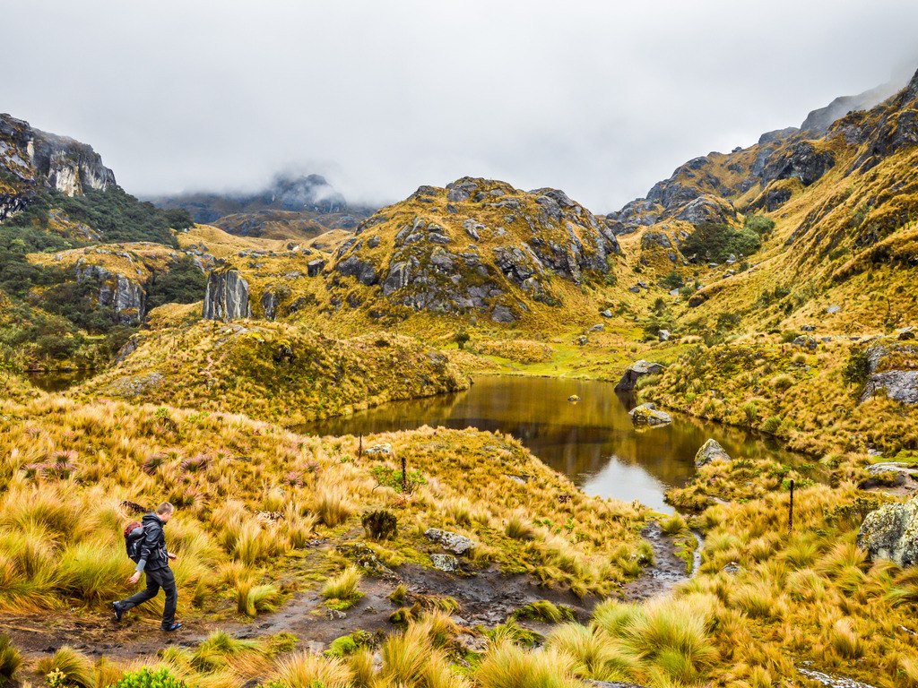 Wandelaar in Cajas nationaal park - reizen met Explore