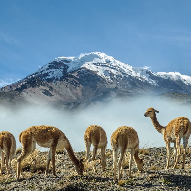 reizen naar Ecuador met Explore