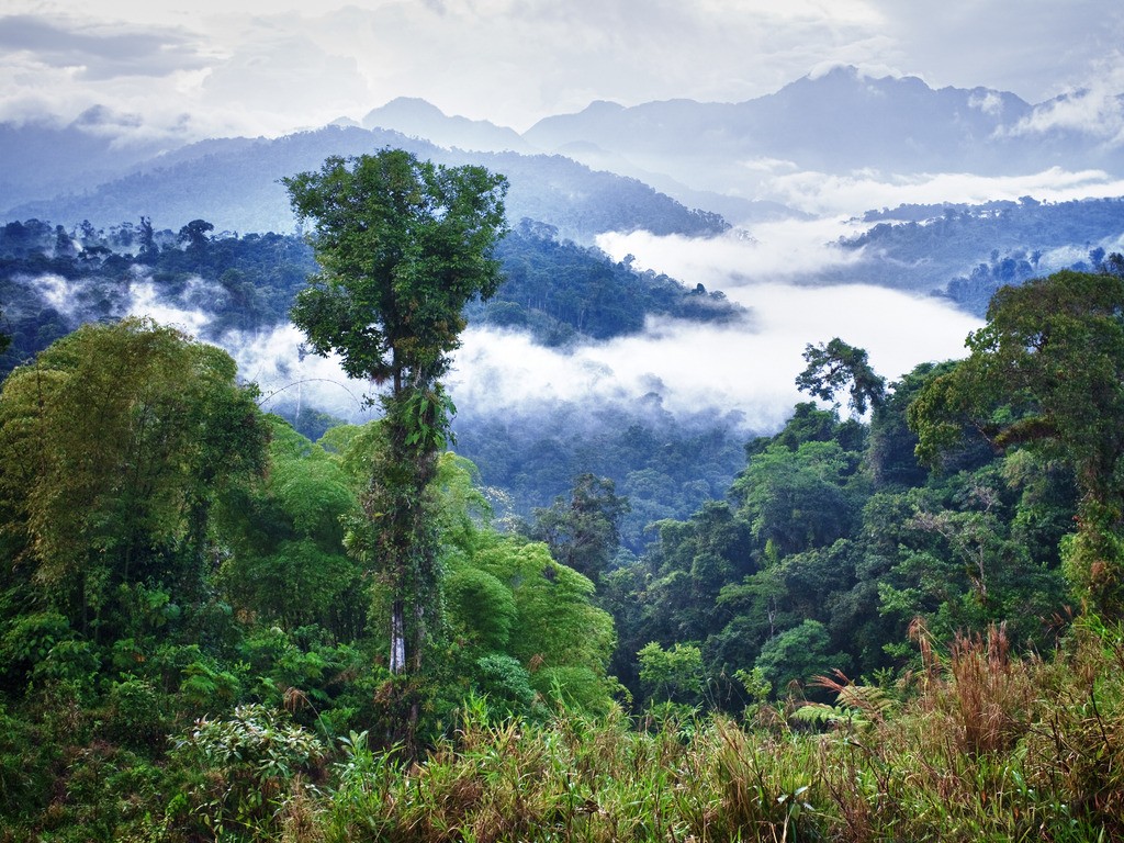 Nevelwoud in Ecuador - reizen met Explore