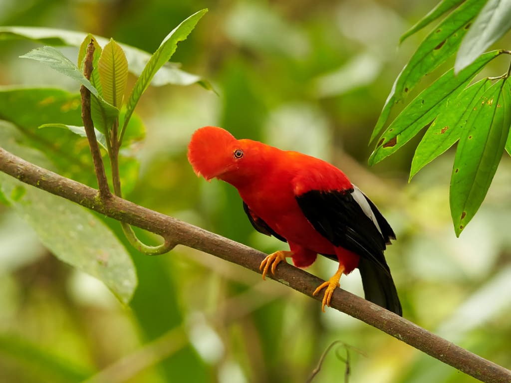 reizen naar Ecuador met Explore