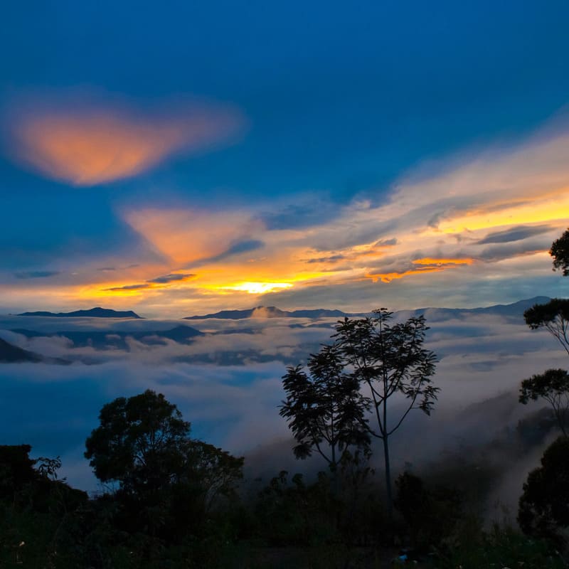 reizen naar Ecuador met Explore