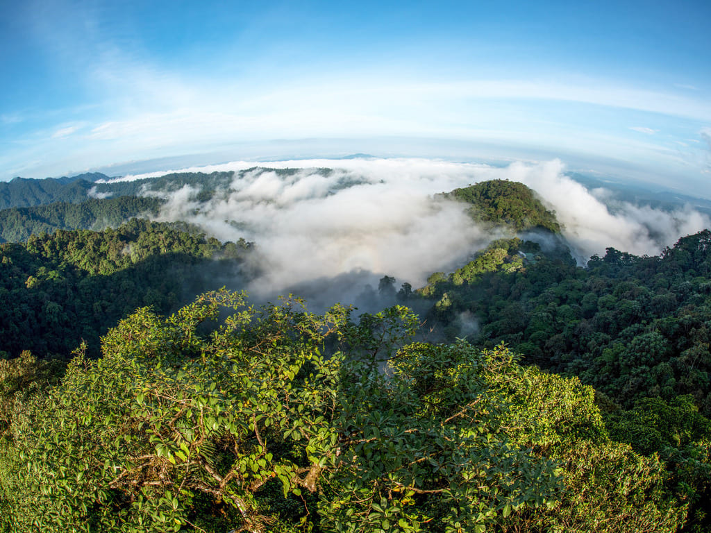 reizen naar Ecuador met Explore