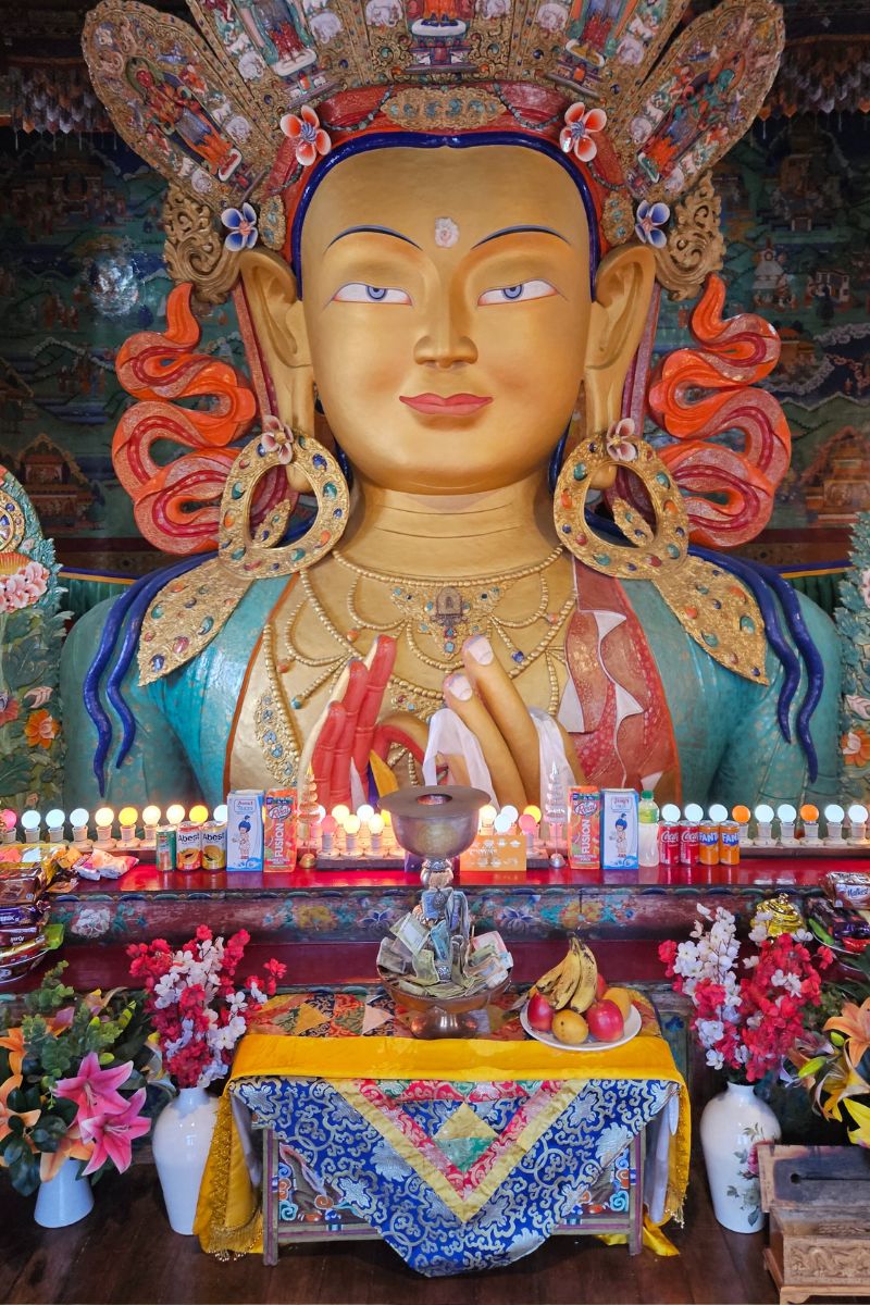 India : Groepsreis Ladakh met Phyang Festival