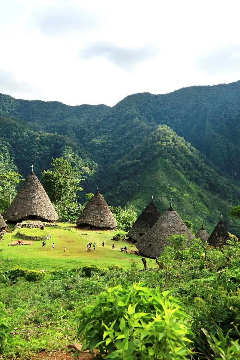 Inspiratiereis Flores en Komodo