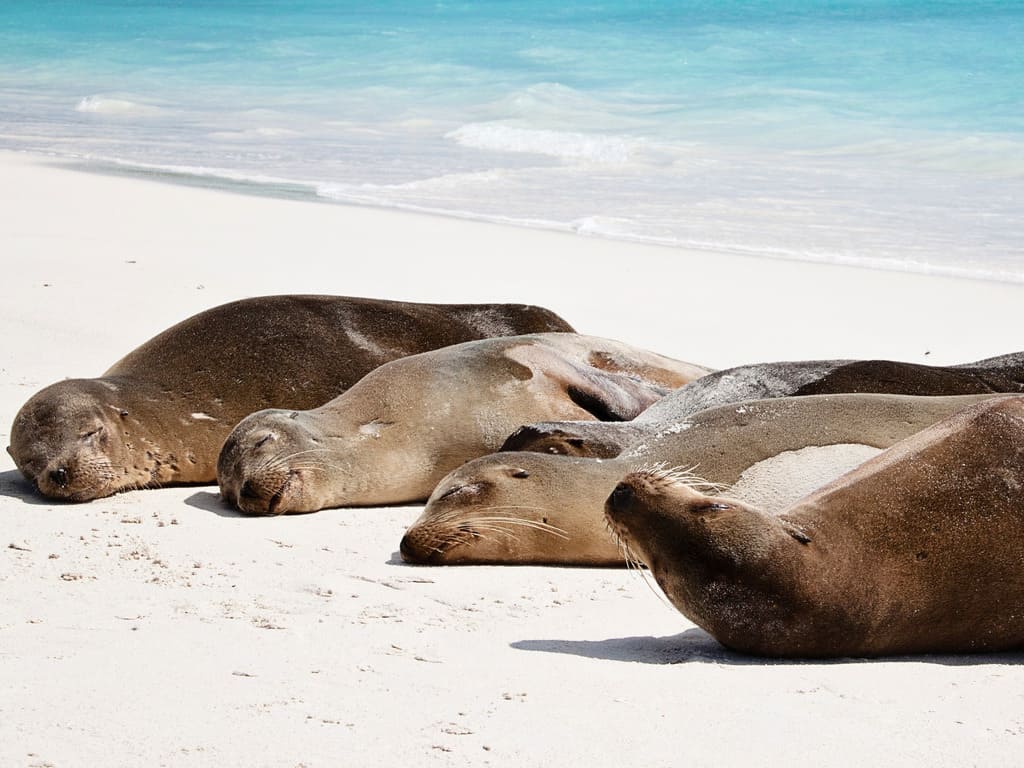 reizen naar Ecuador met Explore