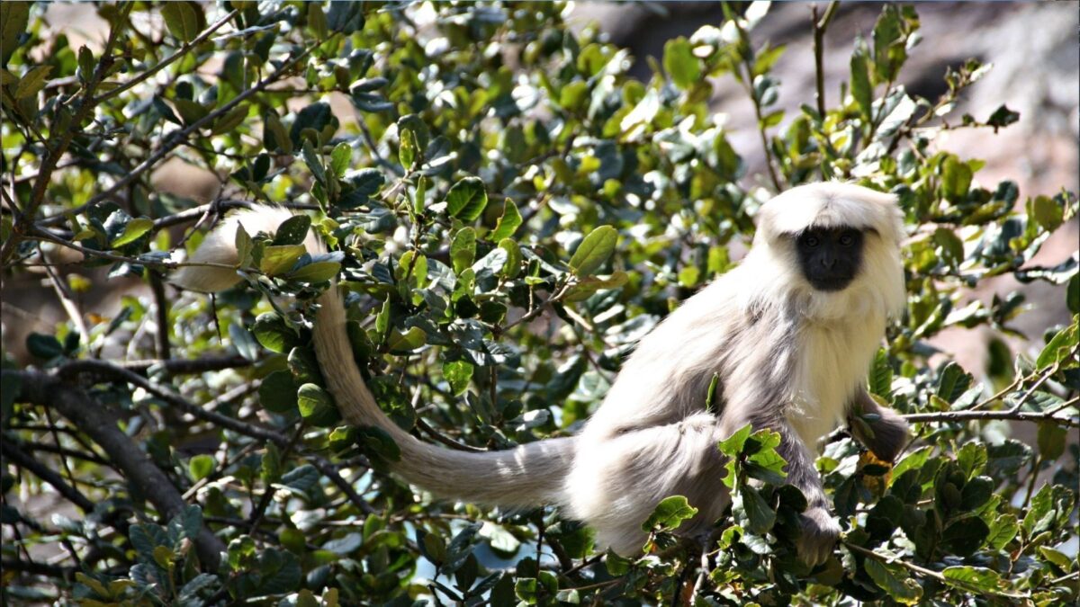 reizen naar Bhutan met Explore