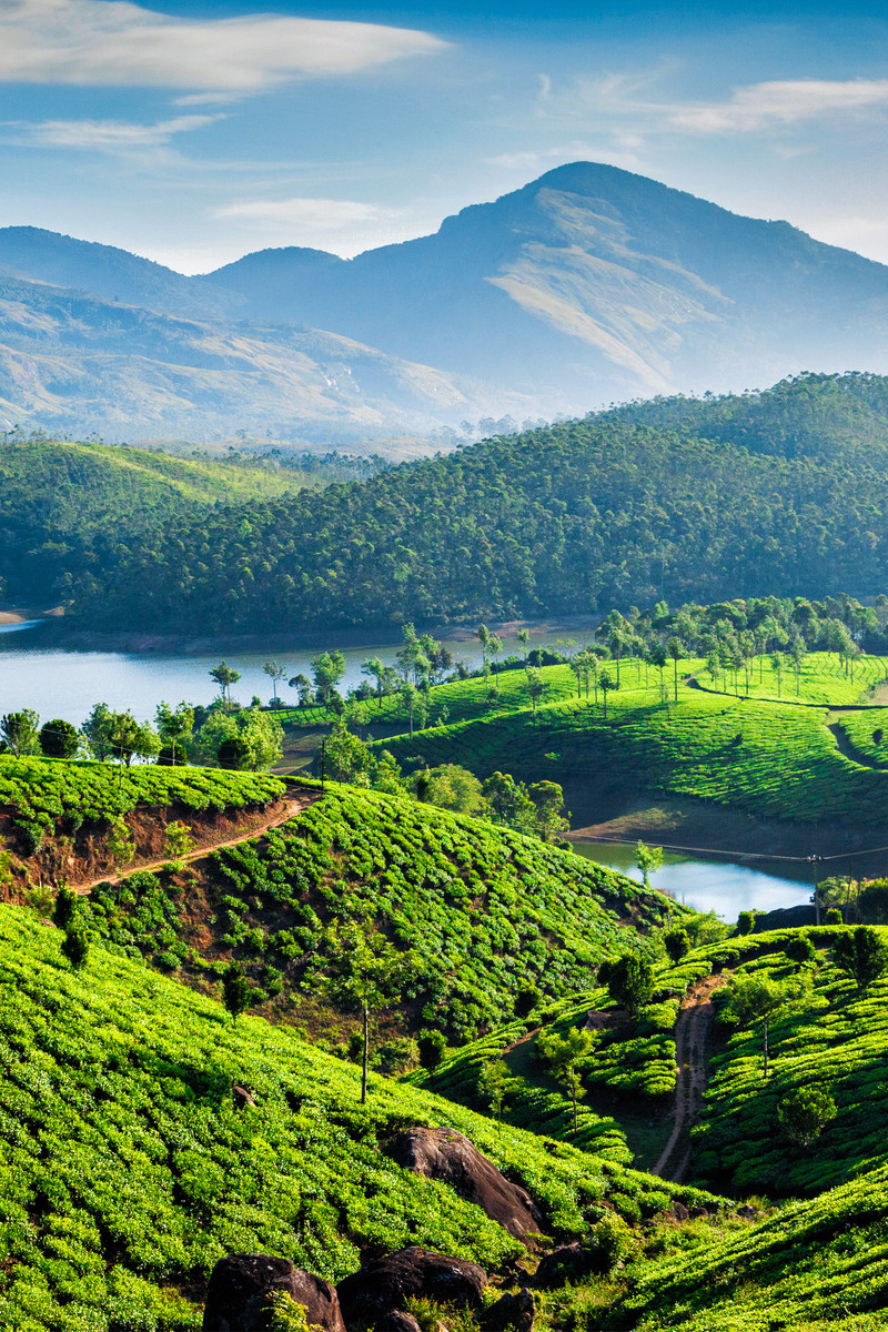 India: Slow Travel in Noord Kerala