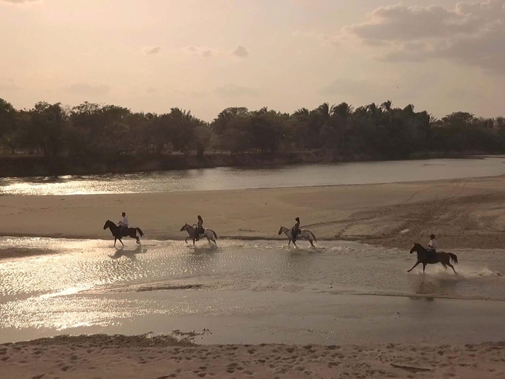 Paardrijden op het strand in Los Llanos - reizen met Explore