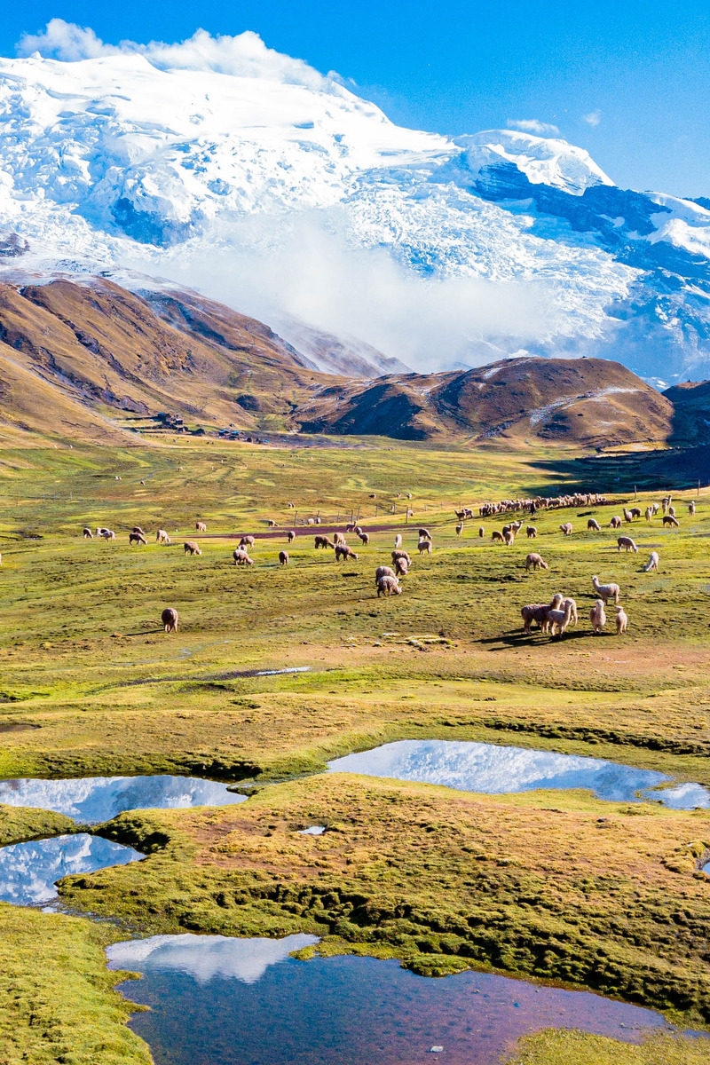 Call of the Cordillera