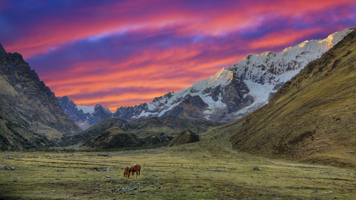 Twee paarden grazen bij Salkantay-berg in Peru – reizen met Explore.