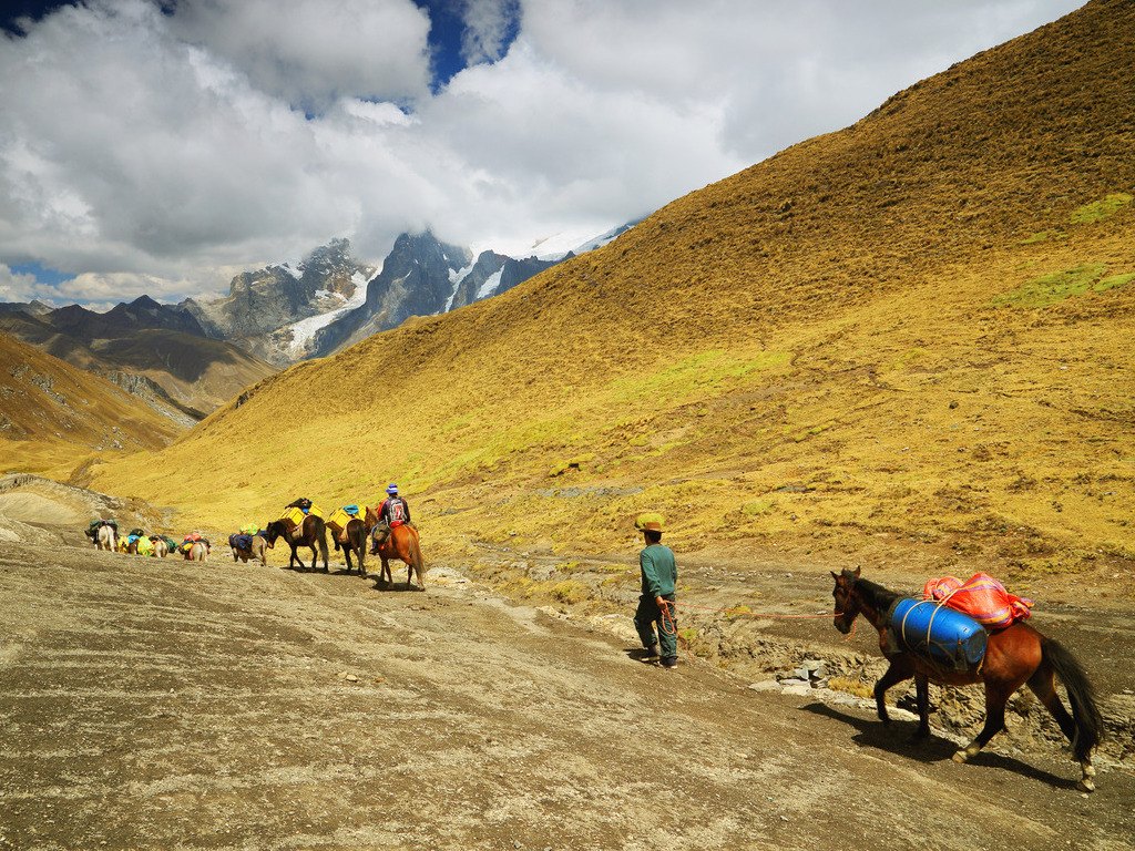 Lastdieren en begeleider op bergpad bij Huayhuash, Peru – reizen met Explore.