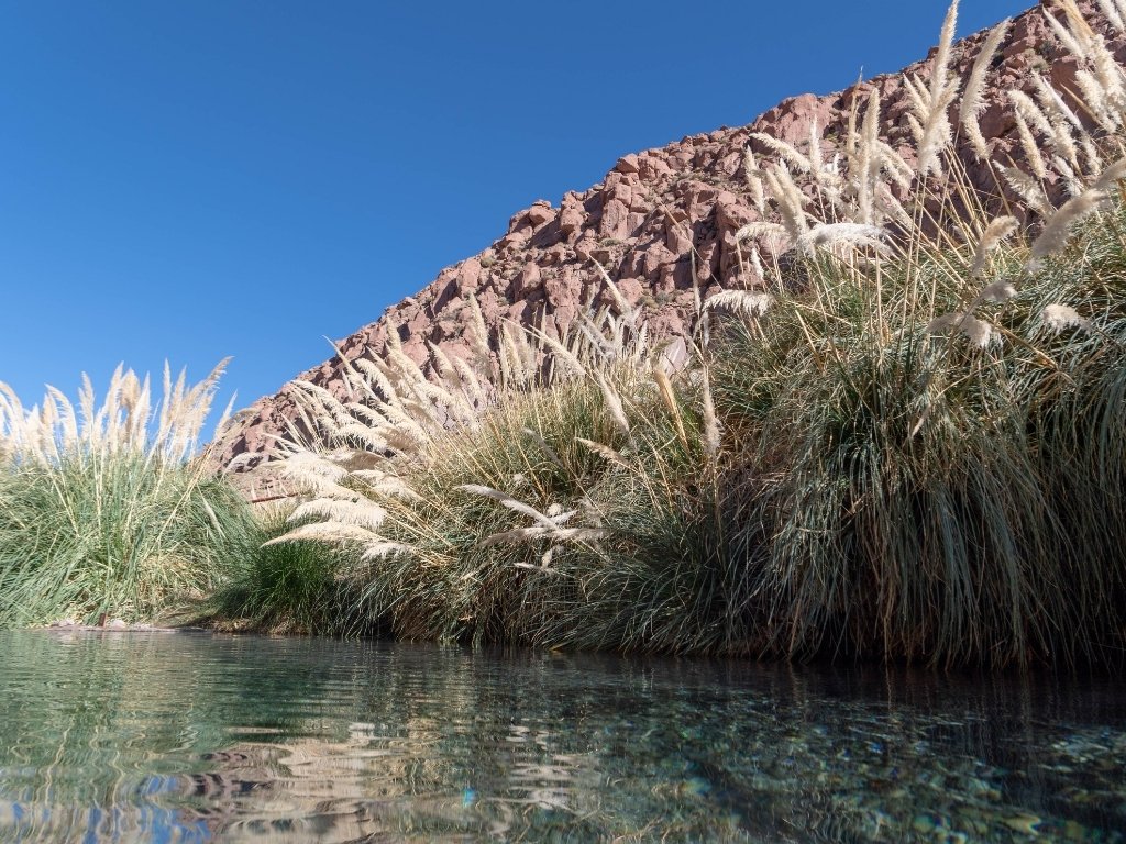 Puritama-hotsprings in Chili - reizen met Explore