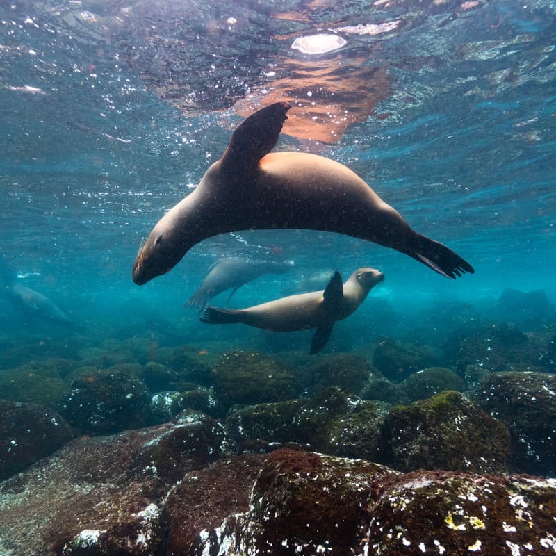 reizen naar Ecuador met Explore