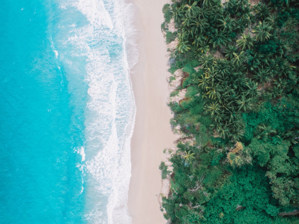 Luchtfoto van strand en tropisch bos in Tayrona National Park, Colombia – reizen met Explore.
