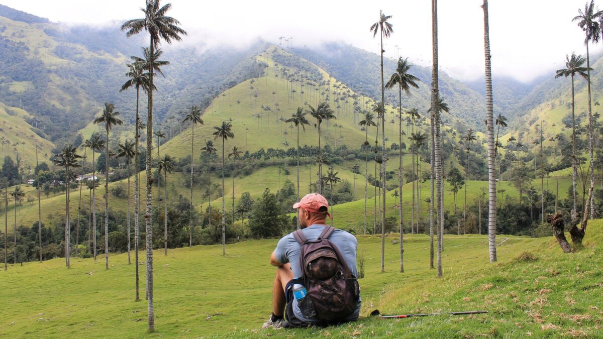 Wandelaar rust uit tussen hoge waspalmen in Valle de Cocora, Colombia – reizen met Explore.