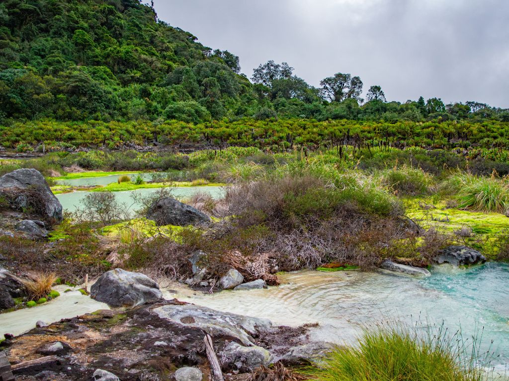 Vulkanisch landschap met heetwaterbronnen en groene vegetatie in Puracé National Park, Colombia – reizen met Explore.