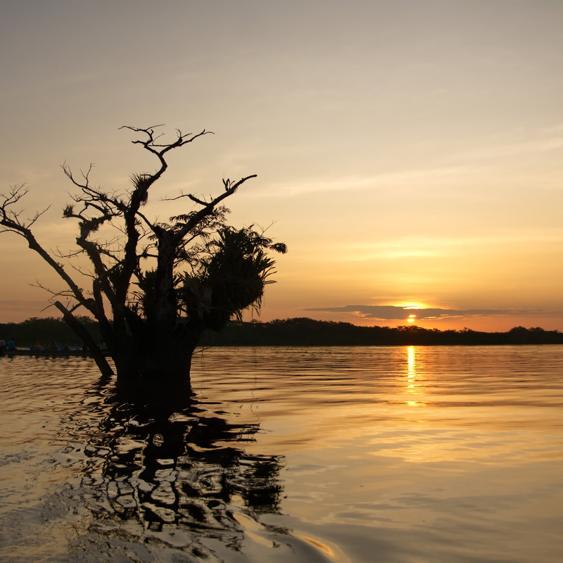Rivier in Ecuador - reizen met Explore