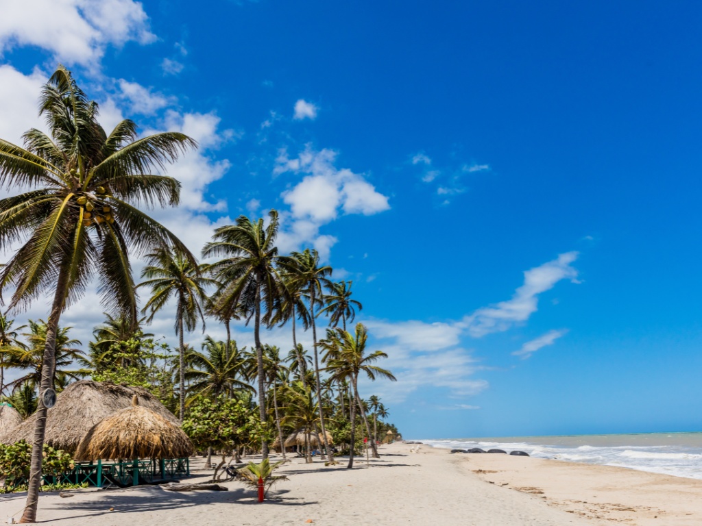 Palmen en palapa’s op een wit zandstrand aan de Caribische kust van Palomino, Colombia – reizen met Explore.
