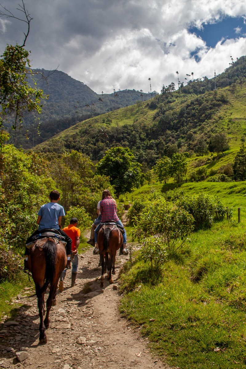 Paardrijden in de Cocoravallei in Colombia - reizen met Explore