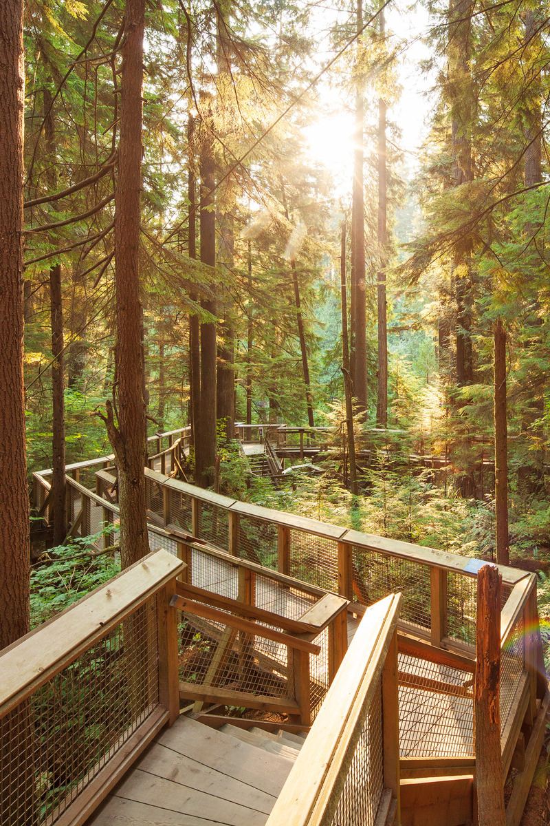 Capilano Suspension Bridge in Vancouver - reizen met Explore