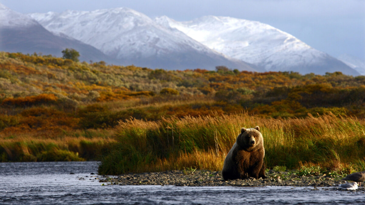reizen naar Alaska met Explore
