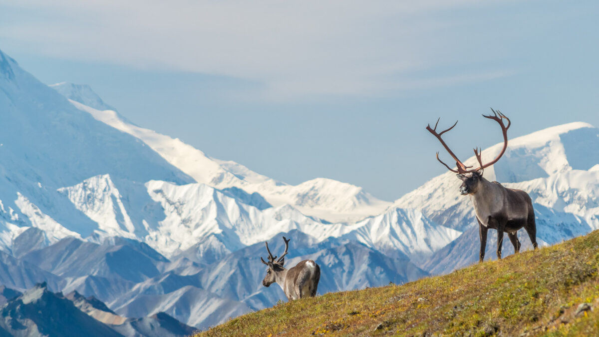 reizen naar Alaska met Explore