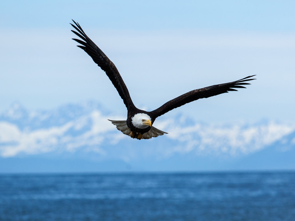 reizen naar Alaska met Explore