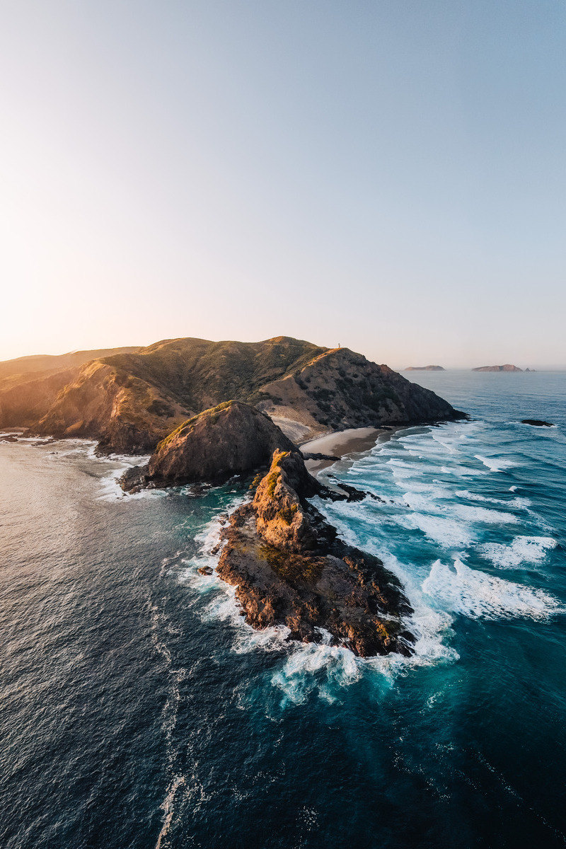 The other New Zealand