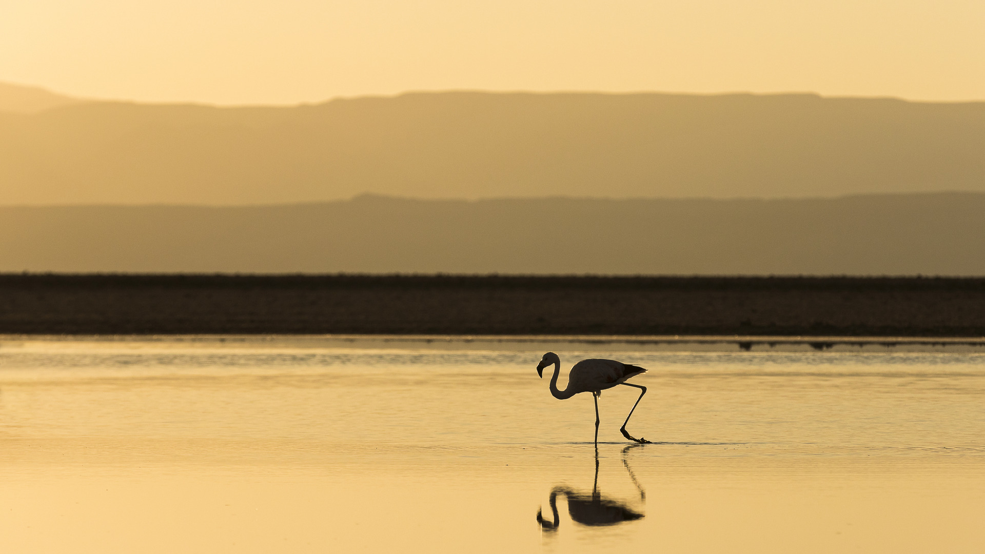 reizen naar Zuid-Amerika met Explore