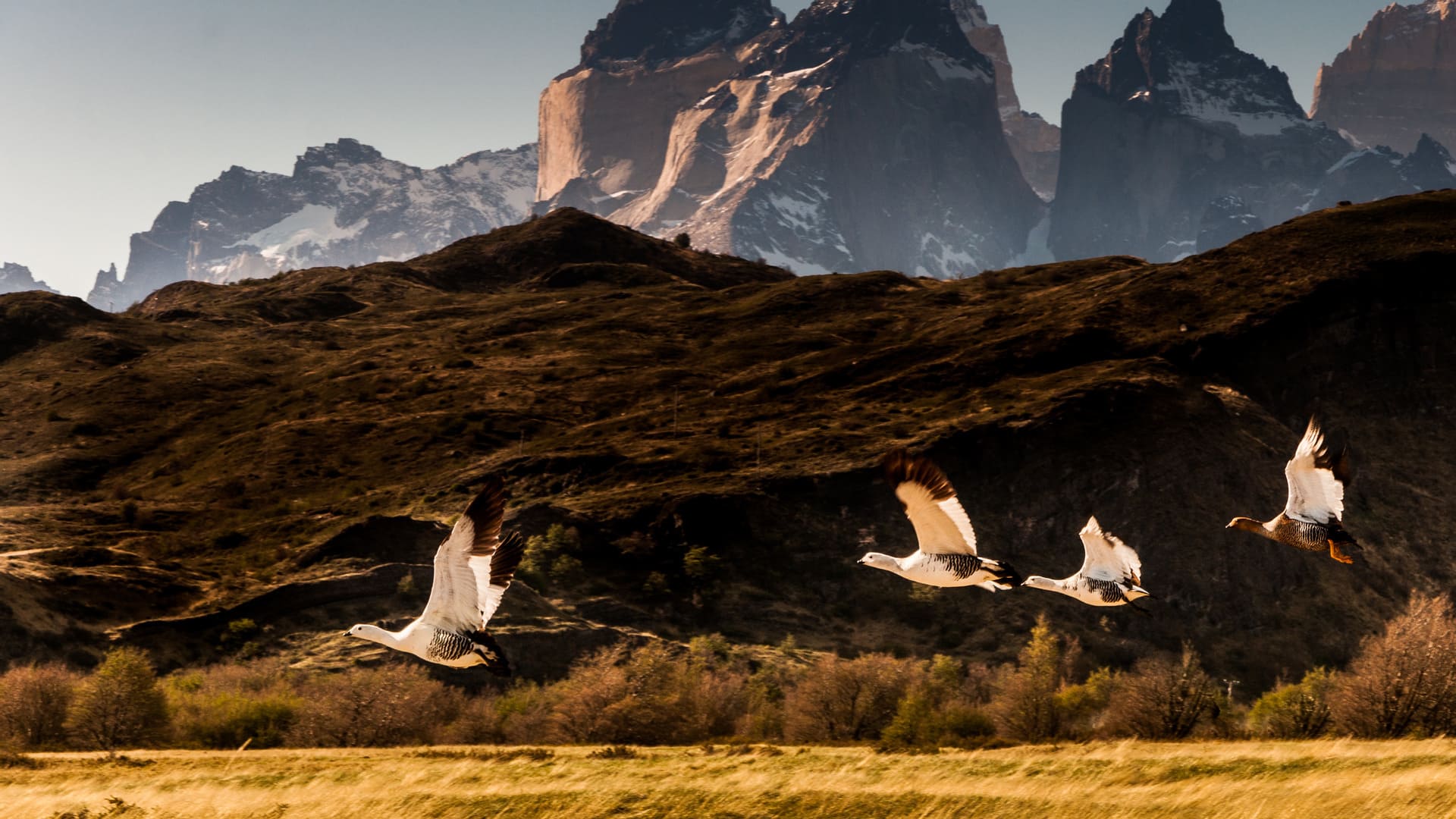 reizen naar Patagonië met Explore