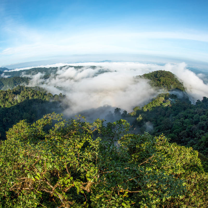 reizen naar Ecuador met Explore
