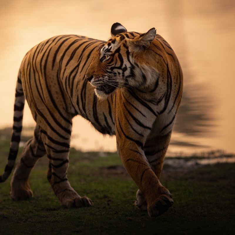 reizen naar India met Explore