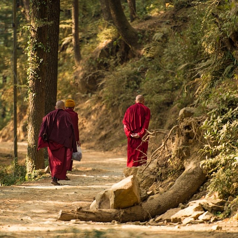 reizen naar India met Explore