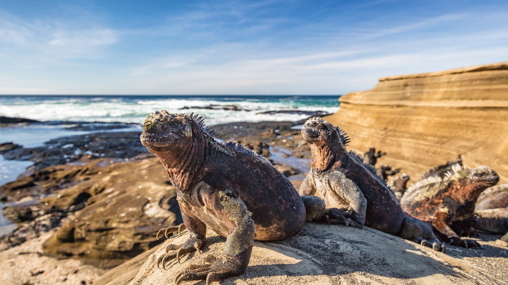 reizen naar Galapagos met Explore