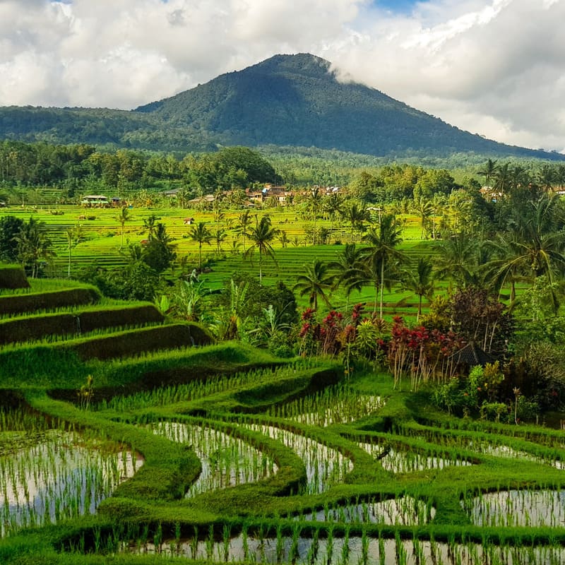 reizen naar Indonesië met Explore
