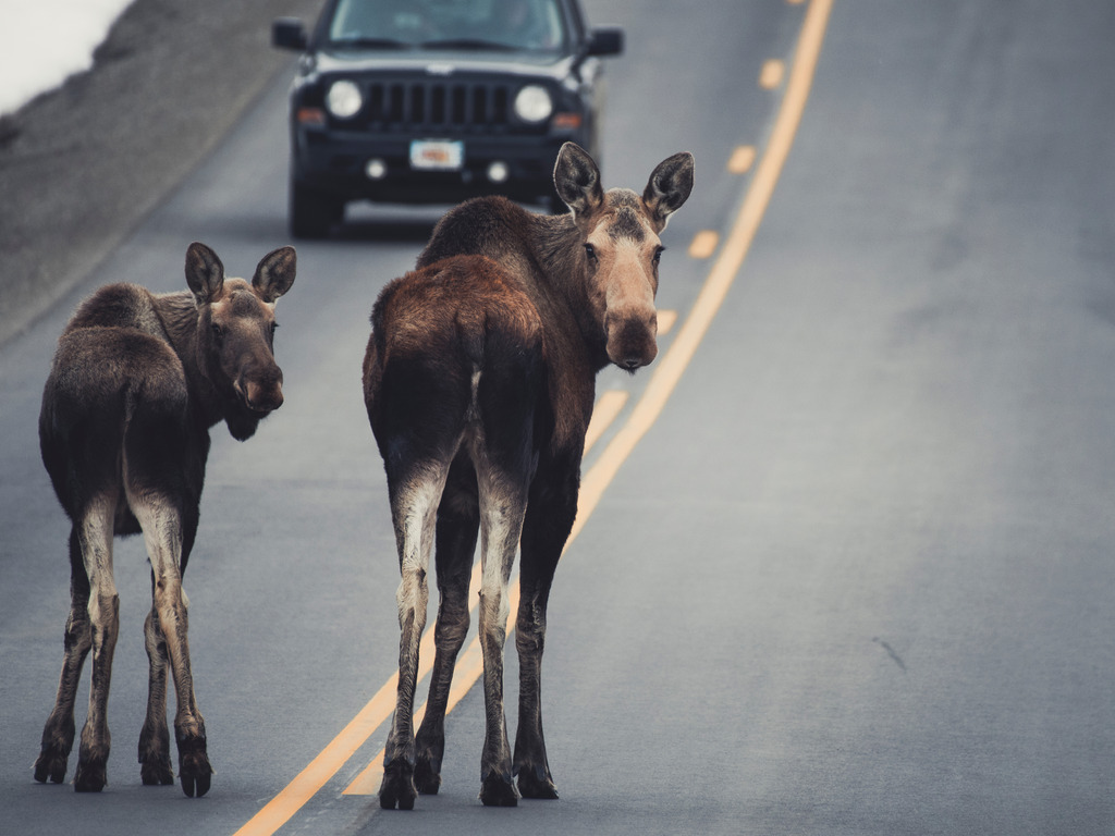 reizen naar Alaska met Explore