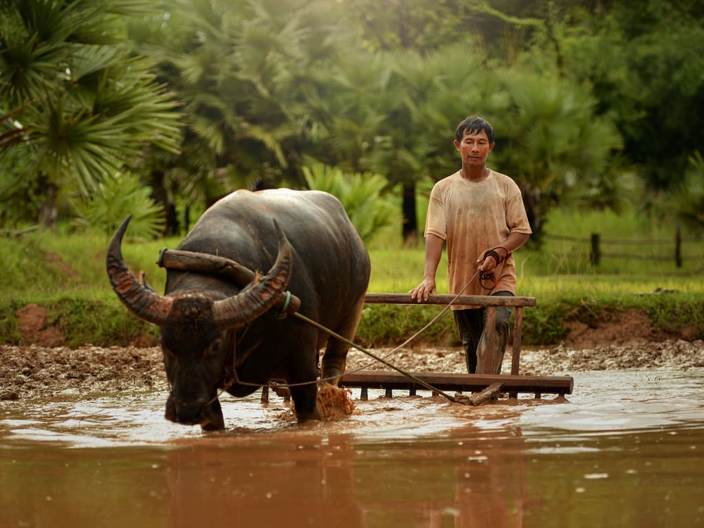 reizen naar Vietnam met Explore