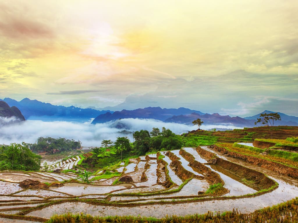 reizen naar Vietnam met Explore